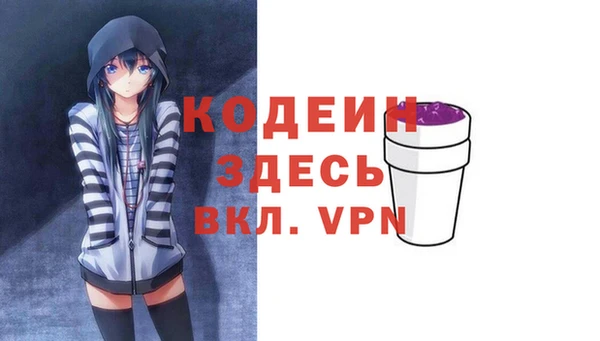 прущие грибы Бронницы