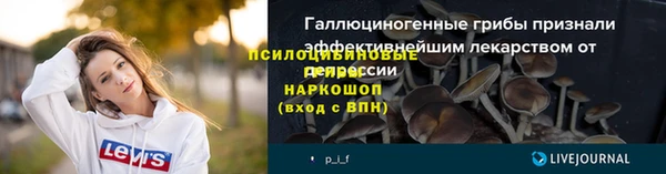 mdpv Бугульма