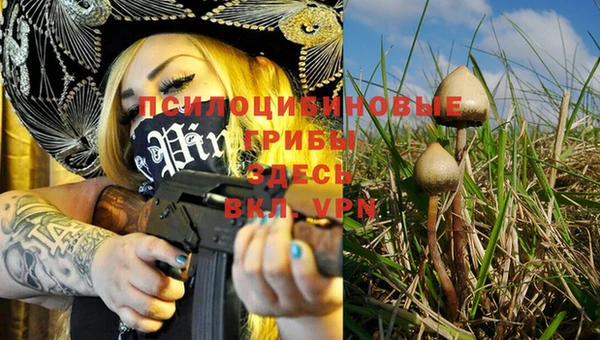 ECSTASY Верхний Тагил