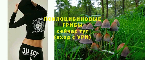 ALPHA-PVP Верея